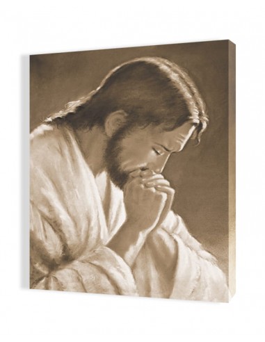 PŁÓTNO ORP198-S,35x50 "Chrystus modlący się" sepia