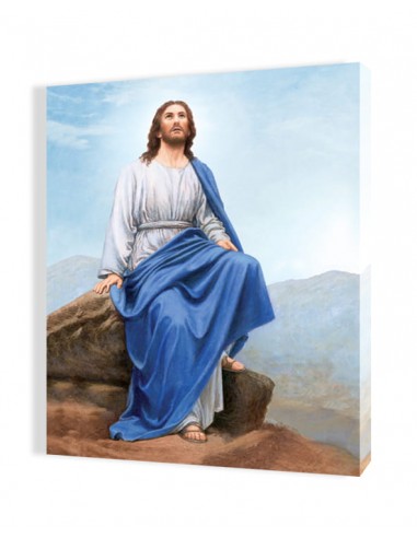 PŁÓTNO ORP045, 35x50 "Jezus Chrystus na skale"